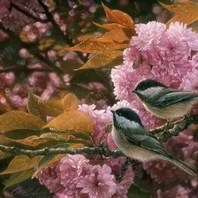 Cross stitch pattern: #473334