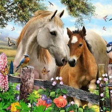 Cross stitch pattern: #473657