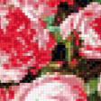 Preview of cross stitch pattern: #474107