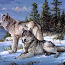 Cross stitch pattern: #474964
