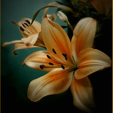 Cross stitch pattern: #475061