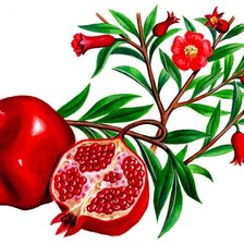 Cross stitch pattern: #475070