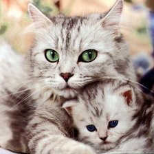 Cross stitch pattern: #475186