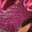 Preview of cross stitch pattern: #475316