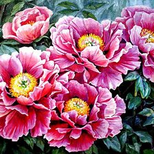Cross stitch pattern: #476705