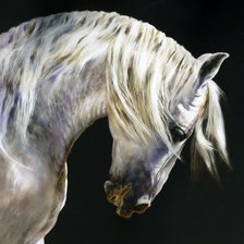 Cross stitch pattern: #476798