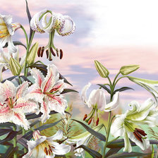 Cross stitch pattern: #476974
