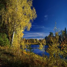 Cross stitch pattern: #477420