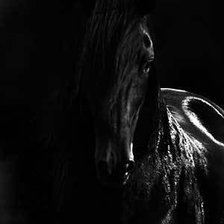 Cross stitch pattern: #477840