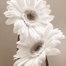 Cross stitch pattern: #478806