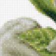 Preview of cross stitch pattern: #479564
