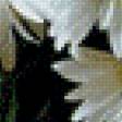 Preview of cross stitch pattern: #479839