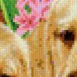 Preview of cross stitch pattern: #480262