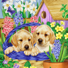 Cross stitch pattern: #480262