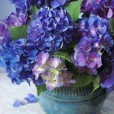 Cross stitch pattern: #480424