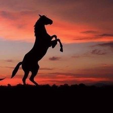 Cross stitch pattern: #480425