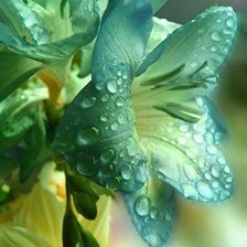 Cross stitch pattern: #480428