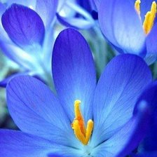 Cross stitch pattern: #480430