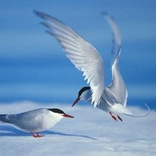 Cross stitch pattern: #480433