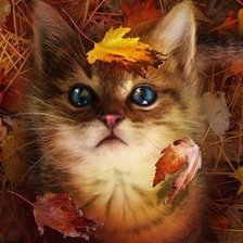 Cross stitch pattern: #480435