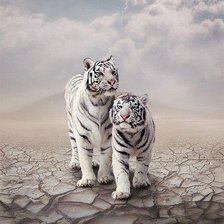 Cross stitch pattern: #480436