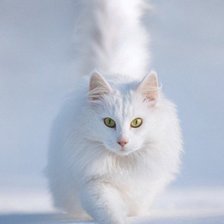 Cross stitch pattern: #480437