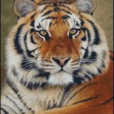 Cross stitch pattern: #481006