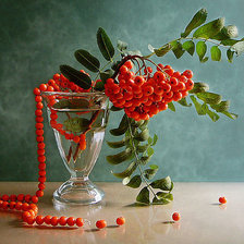 Cross stitch pattern: #481145