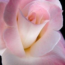 Cross stitch pattern: #481158