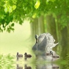 Cross stitch pattern: #481159