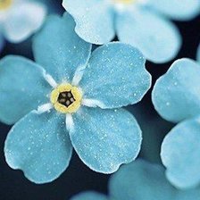 Cross stitch pattern: #481162