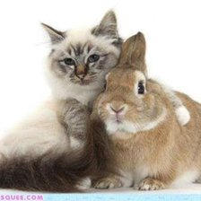 Cross stitch pattern: #481822