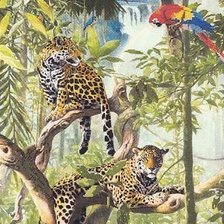 Cross stitch pattern: #481825