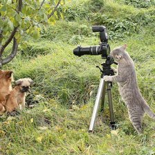 Cross stitch pattern: #481828