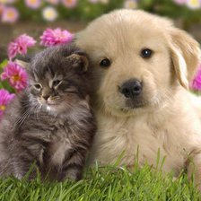 Cross stitch pattern: #481830