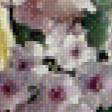 Preview of cross stitch pattern: #481941