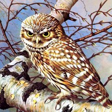 Cross stitch pattern: #482429