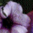 Preview of cross stitch pattern: #482848