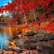 Cross stitch pattern: #483216