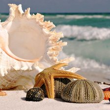 Cross stitch pattern: #483616