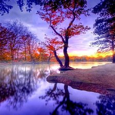 Cross stitch pattern: #483640