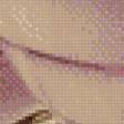 Preview of cross stitch pattern: #483660
