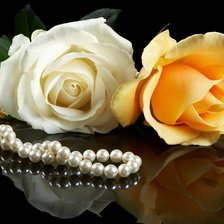 Cross stitch pattern: #484102