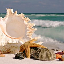 Cross stitch pattern: #484824