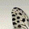 Preview of cross stitch pattern: #485158