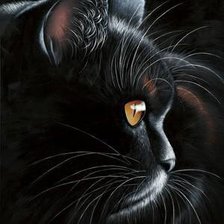 Cross stitch pattern: #485256