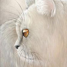 Cross stitch pattern: #485257
