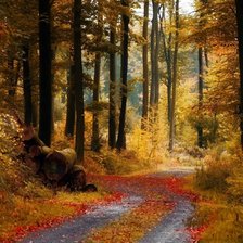 Cross stitch pattern: #485292