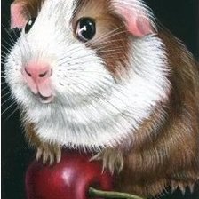 Cross stitch pattern: #485615