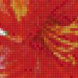 Preview of cross stitch pattern: #485854